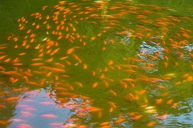 《无主之地4》硬件测试：对GPU、CPU要求都很高的游戏