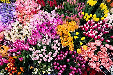 《古墓丽影》重启作发售10周年 官方发文庆祝